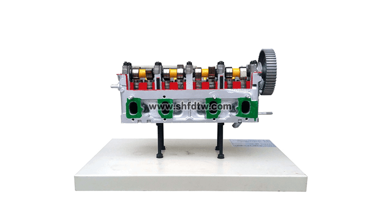 帶凸輪軸氣缸和氣缸蓋解剖模型